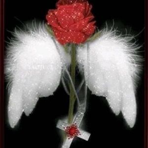 Meet your Posher, Patty